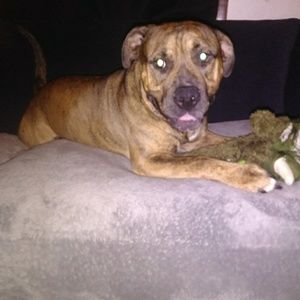 Meet your Posher, Tiffany